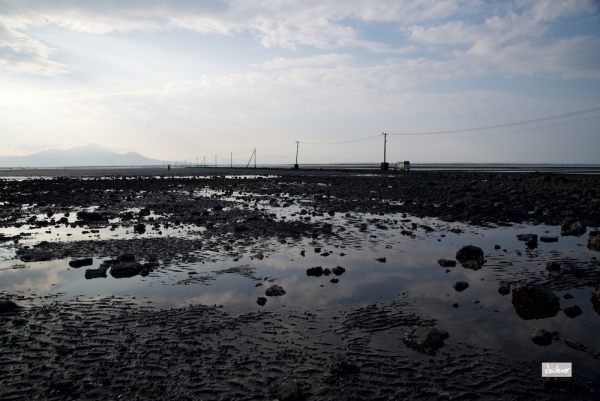 ファイル名: D60_7954.jpg
ファイルサイズ: 846.2KB
→クリックで元のサイズを表示 D60_7954