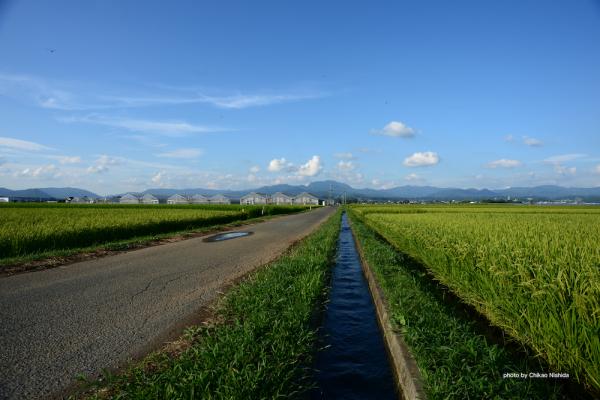 ファイル名: Df-20mm-manuallens-2.jpg
ファイルサイズ: 35.7KB Df-20mm-manuallens-2