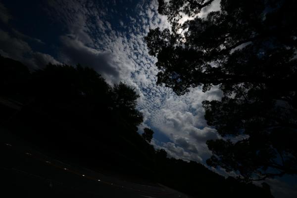 ファイル名: forcus2.jpg
ファイルサイズ: 211.4KB
→クリックで元のサイズを表示 forcus2