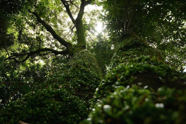 ファイル名: popular4.jpg
ファイルサイズ: 1.00MB
→クリックで元のサイズを表示 popular4