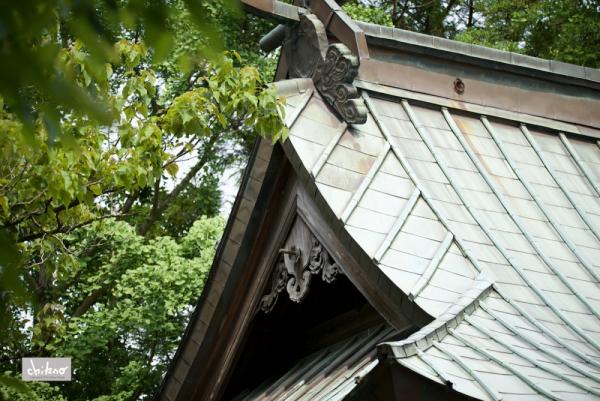 ファイル名: 800_0760.jpg
ファイルサイズ: 629KB
→クリックで元のサイズを表示 800_0760