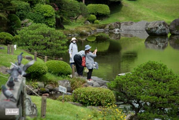 ファイル名: 800_1627.jpg
ファイルサイズ: 583.5KB
→クリックで元のサイズを表示 800_1627