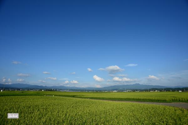 ファイル名: DF1_6717.jpg
ファイルサイズ: 764KB
→クリックで元のサイズを表示 DF1_6717