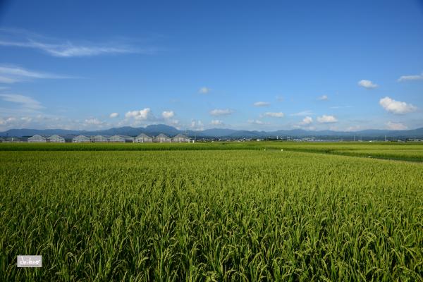ファイル名: DF1_6718.jpg
ファイルサイズ: 1.04MB
→クリックで元のサイズを表示 DF1_6718