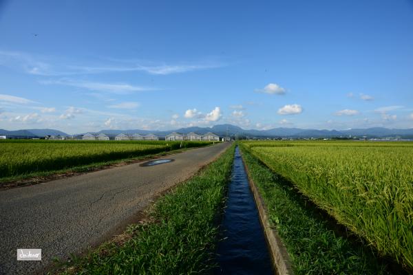 ファイル名: DF1_6731.jpg
ファイルサイズ: 916.7KB
→クリックで元のサイズを表示 DF1_6731