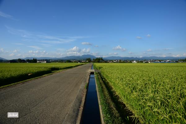 ファイル名: DF1_6738.jpg
ファイルサイズ: 931.3KB
→クリックで元のサイズを表示 DF1_6738