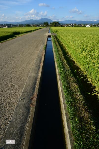 ファイル名: DF1_6741.jpg
ファイルサイズ: 1.06MB
→クリックで元のサイズを表示 DF1_6741