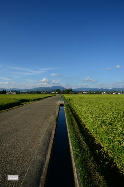 ファイル名: DF1_6742.jpg
ファイルサイズ: 844.5KB
→クリックで元のサイズを表示 DF1_6742