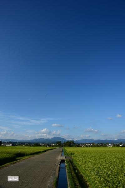 ファイル名: DF1_6743.jpg
ファイルサイズ: 649.5KB
→クリックで元のサイズを表示 DF1_6743