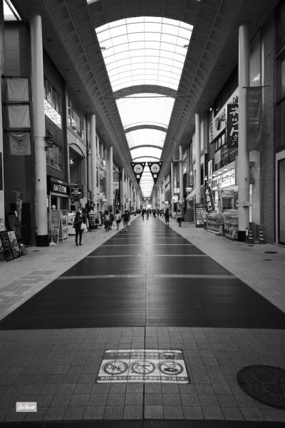 ファイル名: 800_5076.jpg
ファイルサイズ: 233.3KB
→クリックで元のサイズを表示 800_5076