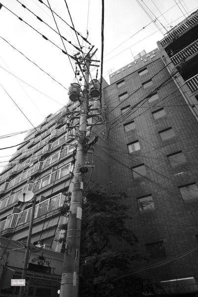 ファイル名: 800_5079.jpg
ファイルサイズ: 273.3KB
→クリックで元のサイズを表示 800_5079