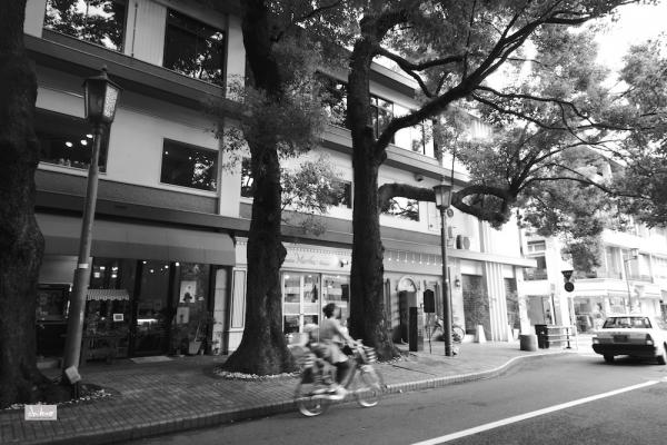 ファイル名: 800_5084.jpg
ファイルサイズ: 306.9KB
→クリックで元のサイズを表示 800_5084