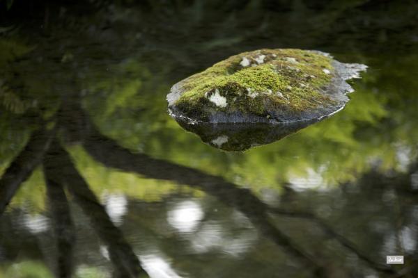 ファイル名: 800_9425.jpg
ファイルサイズ: 680.1KB
→クリックで元のサイズを表示 800_9425