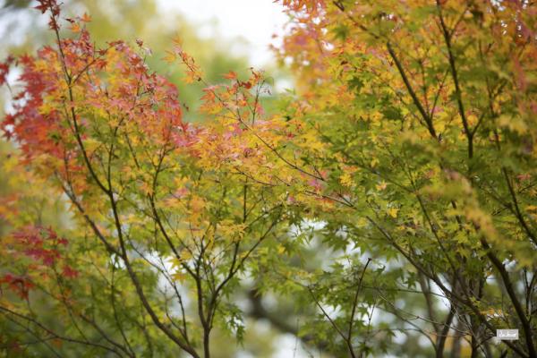ファイル名: 800_9465.jpg
ファイルサイズ: 1.01MB
→クリックで元のサイズを表示 800_9465