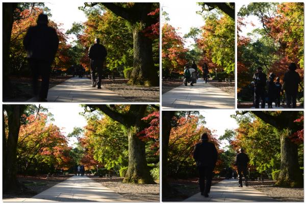 ファイル名: hosokawa1.jpg
ファイルサイズ: 1.23MB
→クリックで元のサイズを表示 hosokawa1