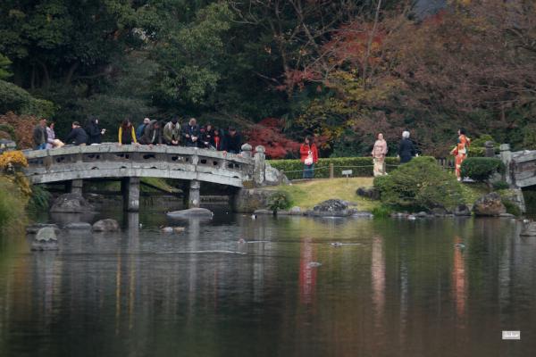 ファイル名: 800_1536.jpg
ファイルサイズ: 907.9KB
→クリックで元のサイズを表示 800_1536