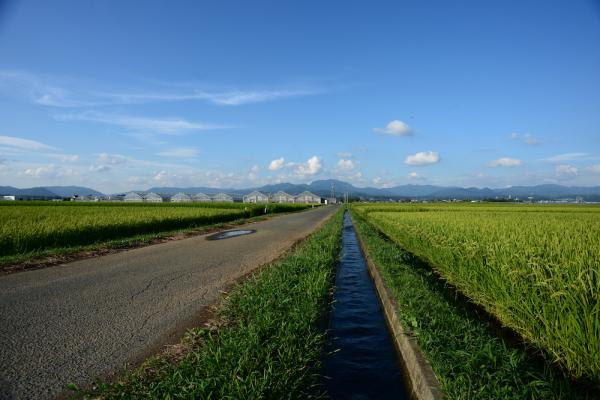 ファイル名: 6.jpg
ファイルサイズ: 977.5KB
→クリックで元のサイズを表示 6