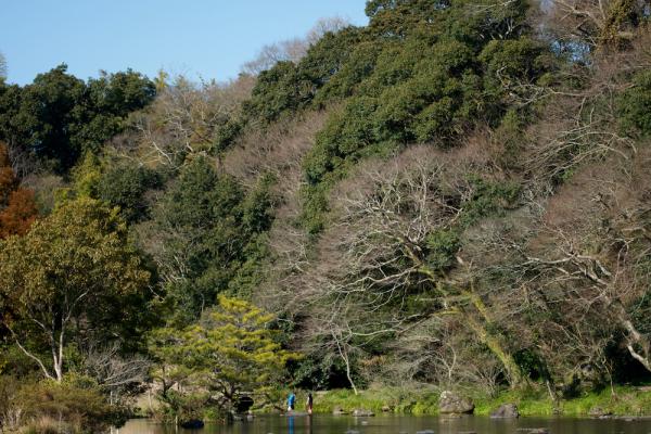 ファイル名: hake0.jpg
ファイルサイズ: 1.25MB
→クリックで元のサイズを表示 hake0