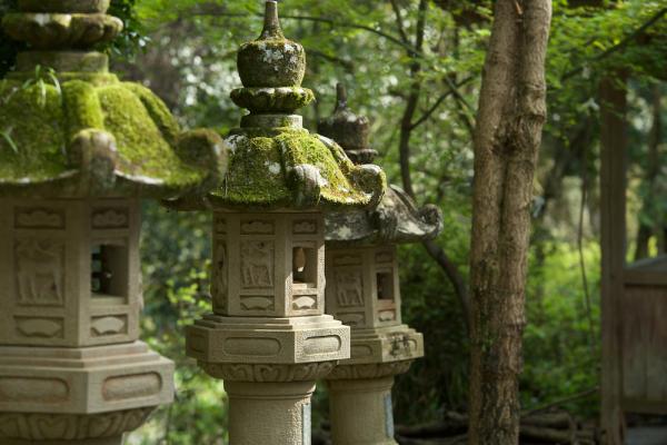 ファイル名: DFD_2580.jpg
ファイルサイズ: 860KB
→クリックで元のサイズを表示 DFD_2580