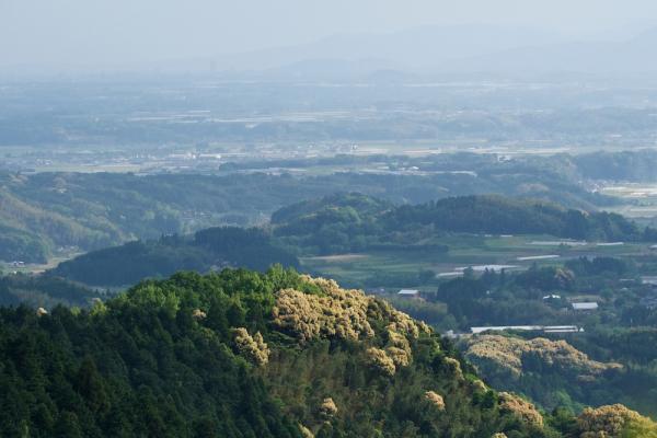 ファイル名: 500_8602.jpg
ファイルサイズ: 773KB
→クリックで元のサイズを表示 500_8602