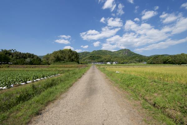 ファイル名: 800_5550.jpg
ファイルサイズ: 1.05MB
→クリックで元のサイズを表示 800_5550