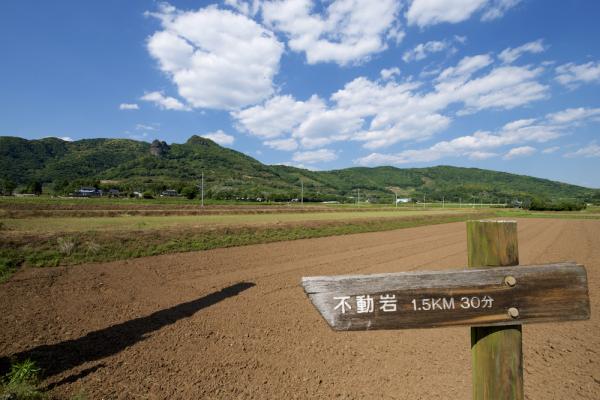 ファイル名: 800_5569.jpg
ファイルサイズ: 1016KB
→クリックで元のサイズを表示 800_5569