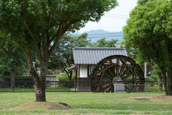 ファイル名: 800_6485.jpg
ファイルサイズ: 1.25MB
→クリックで元のサイズを表示 800_6485