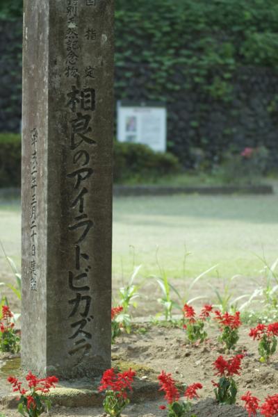 ファイル名: 500_0863.jpg
ファイルサイズ: 476.2KB
→クリックで元のサイズを表示 500_0863