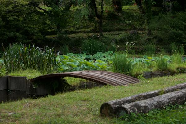 ファイル名: 800_6515.jpg
ファイルサイズ: 1.13MB
→クリックで元のサイズを表示 800_6515