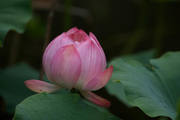 ファイル名: 800_6543.jpg
ファイルサイズ: 644.8KB
→クリックで元のサイズを表示 800_6543
