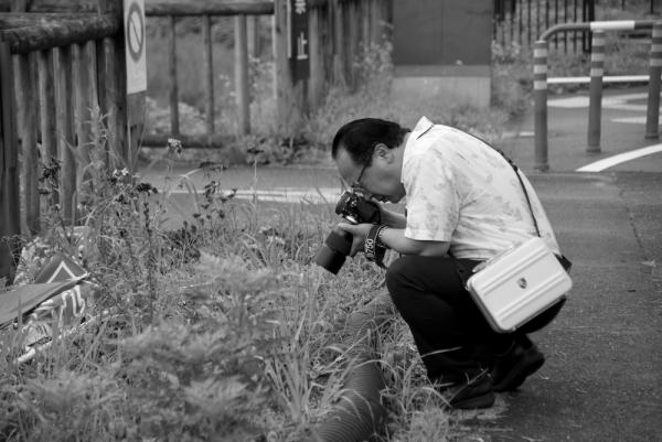 ファイル名: D60_8860.jpg
ファイルサイズ: 411.1KB
→クリックで元のサイズを表示 D60_8860