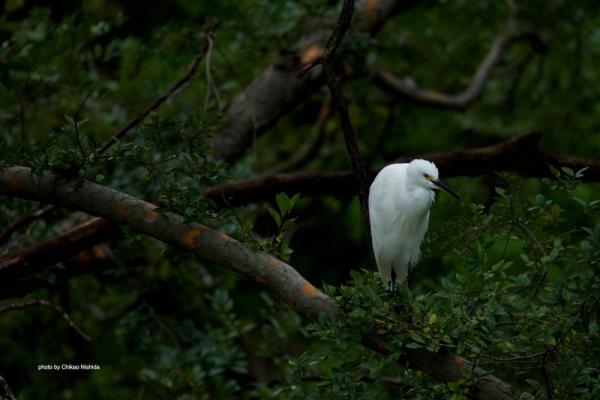 ファイル名: 5.jpg
ファイルサイズ: 395.2KB
→クリックで元のサイズを表示 5