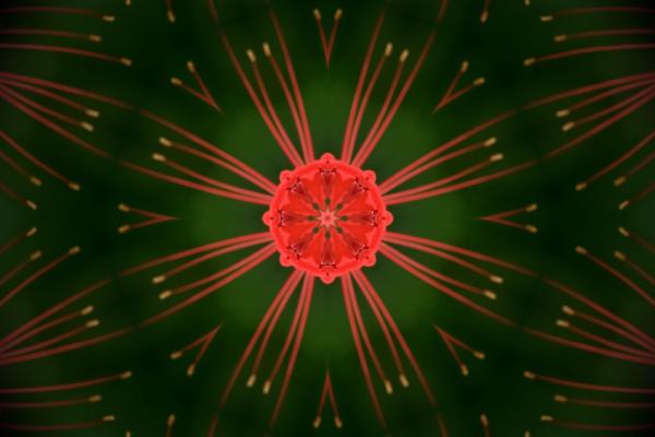 ファイル名: 3.jpg
ファイルサイズ: 130.1KB
→クリックで元のサイズを表示 3