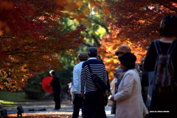 ファイル名: DFD_6526.jpg
ファイルサイズ: 216.5KB
→クリックで元のサイズを表示 DFD_6526