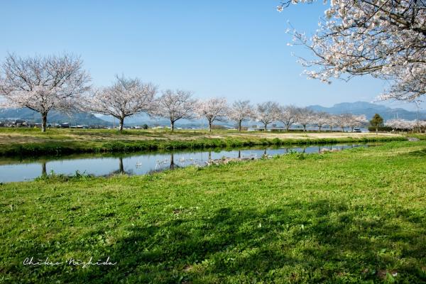 ファイル名: DFD_2087.jpg
ファイルサイズ: 387.2KB
→クリックで元のサイズを表示 DFD_2087