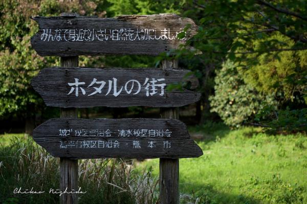 ファイル名: DFD_3508.jpg
ファイルサイズ: 307.2KB
→クリックで元のサイズを表示 DFD_3508