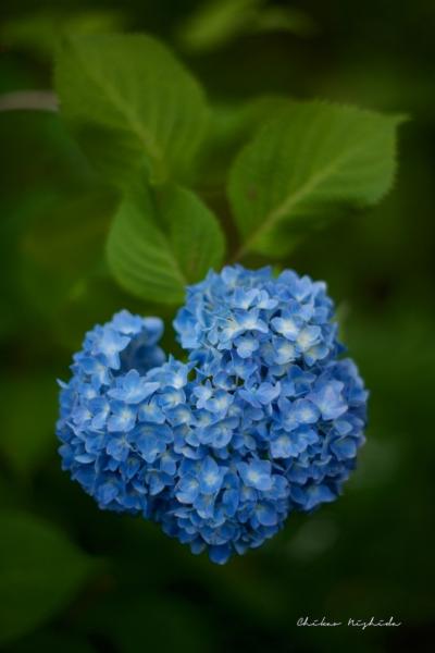 ファイル名: DFD_6711.jpg
ファイルサイズ: 339KB
→クリックで元のサイズを表示 DFD_6711