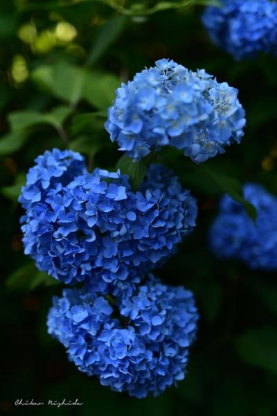 ファイル名: 850_2031_00088.jpg
ファイルサイズ: 353.2KB
→クリックで元のサイズを表示 850_2031_00088