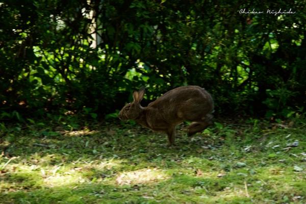 ファイル名: D75_0896.jpg
ファイルサイズ: 258.6KB
→クリックで元のサイズを表示 D75_0896