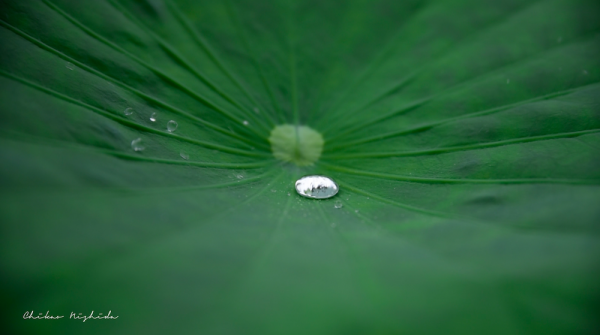 waterdrop2