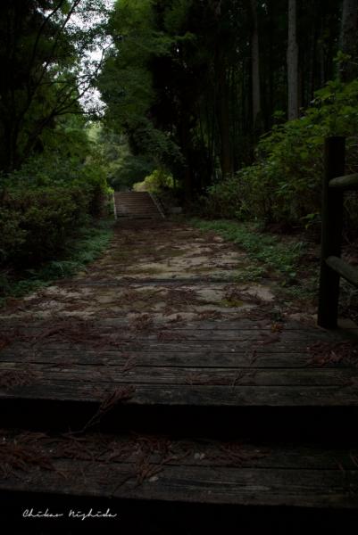 ファイル名: D75_4870.jpg
ファイルサイズ: 475.8KB
→クリックで元のサイズを表示 D75_4870