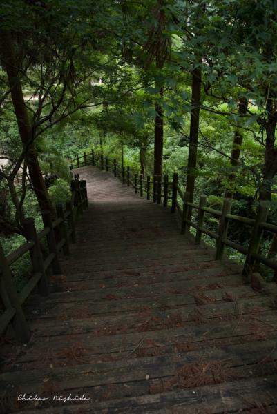 ファイル名: D75_4873.jpg
ファイルサイズ: 580.8KB
→クリックで元のサイズを表示 D75_4873