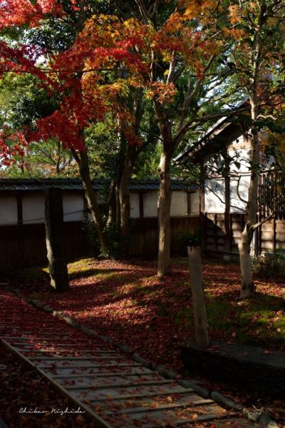 ファイル名: DFD_9637.jpg
ファイルサイズ: 719.8KB
→クリックで元のサイズを表示 DFD_9637