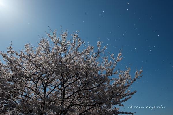 ファイル名: 3-30.jpg
ファイルサイズ: 276.1KB
→クリックで元のサイズを表示 3-30