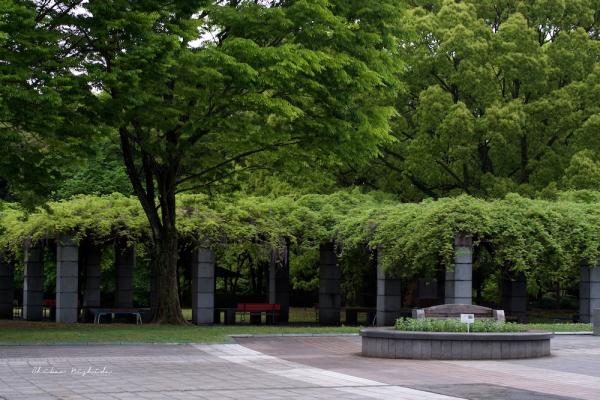 ファイル名: DFD_2214.jpg
ファイルサイズ: 369.1KB
→クリックで元のサイズを表示 DFD_2214