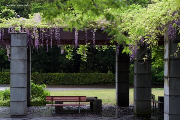 ファイル名: DFD_2215.jpg
ファイルサイズ: 346KB
→クリックで元のサイズを表示 DFD_2215