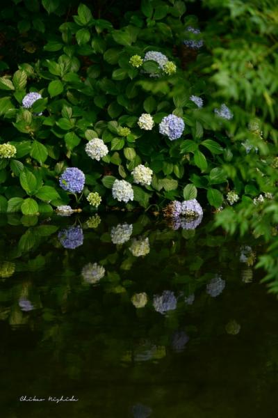 ファイル名: 850_2596.jpg
ファイルサイズ: 451.3KB
→クリックで元のサイズを表示 850_2596