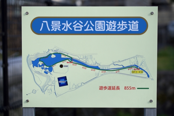 ファイル名: D85_5322.jpeg
ファイルサイズ: 726.2KB
→クリックで元のサイズを表示 D85_5322