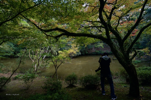 ファイル名: DFD_7676.jpeg
ファイルサイズ: 1.45MB
→クリックで元のサイズを表示 DFD_7676