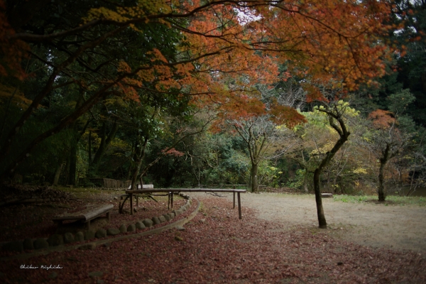 taisho-ji-2